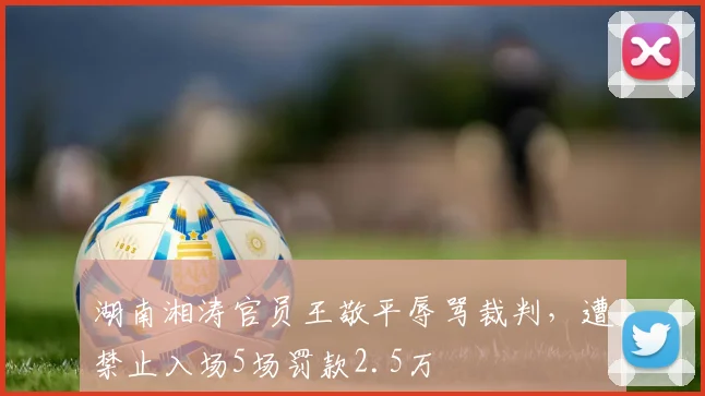湖南湘涛官员王敬平辱骂裁判，遭禁止入场5场罚款2.5万