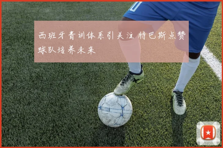 西班牙青训体系引关注 特巴斯点赞球队培养未来