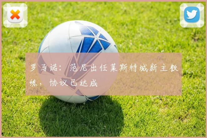 罗马诺：范尼出任莱斯特城新主教练，协议已达成