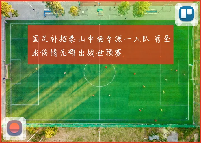国足补招泰山中场李源一入队 蒋圣龙伤情无碍出战世预赛