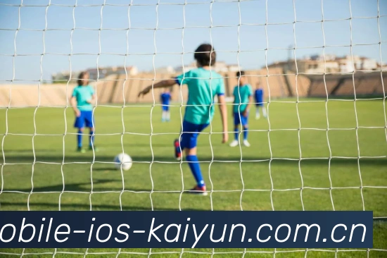 开云(kaiyun)手机平台生态图